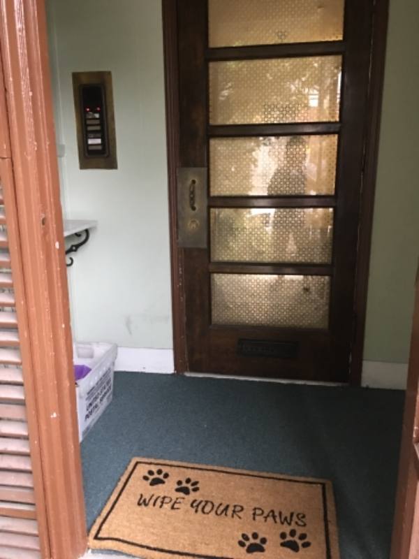 Apartment for rent at 6202 Walnut St #5, Pittsburgh, PA 15206