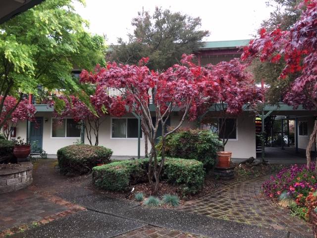 House for rent at 7300 Boris Court #4, Rohnert Park, CA 94928