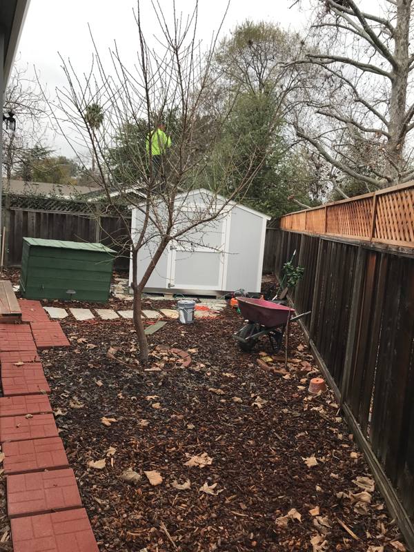 House for rent at 55 Drake Court #A, Walnut Creek, CA 94597