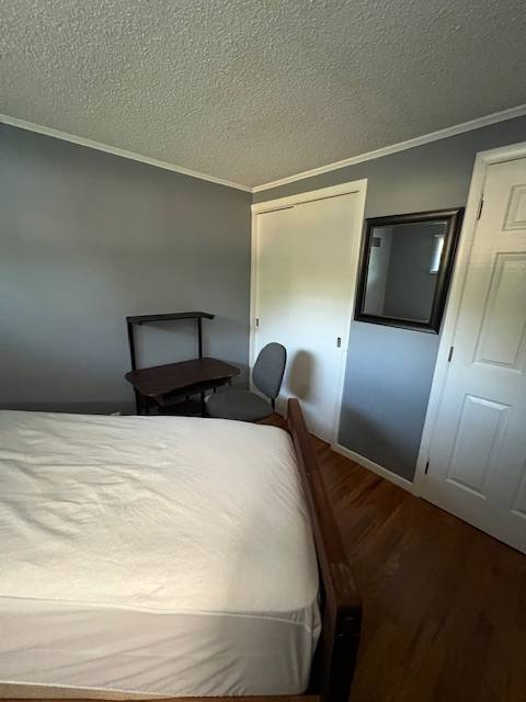 House for rent at 240 Greenaway Dr, Springfield, MA 01109