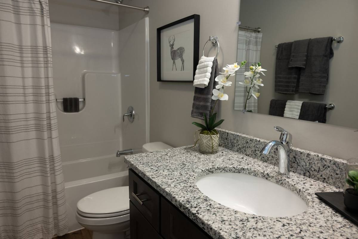 Apartment for rent at 69-79 Bobcat Way, Manchester, NH 03109