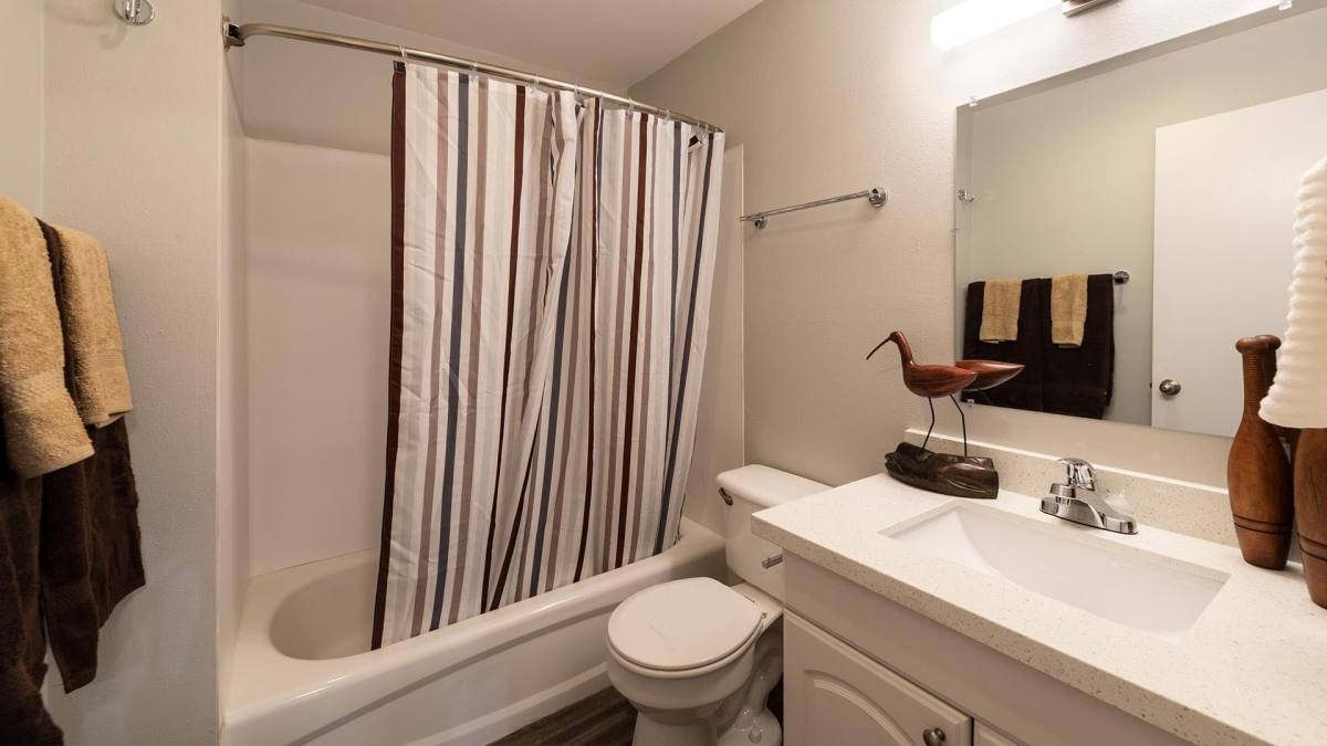 Apartment for rent at 10014 5th Ave NE, Seattle, WA 98125