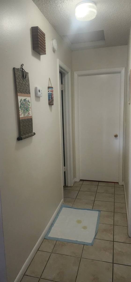 House for rent at 10701 Key Lime Way, Tampa, FL 33624