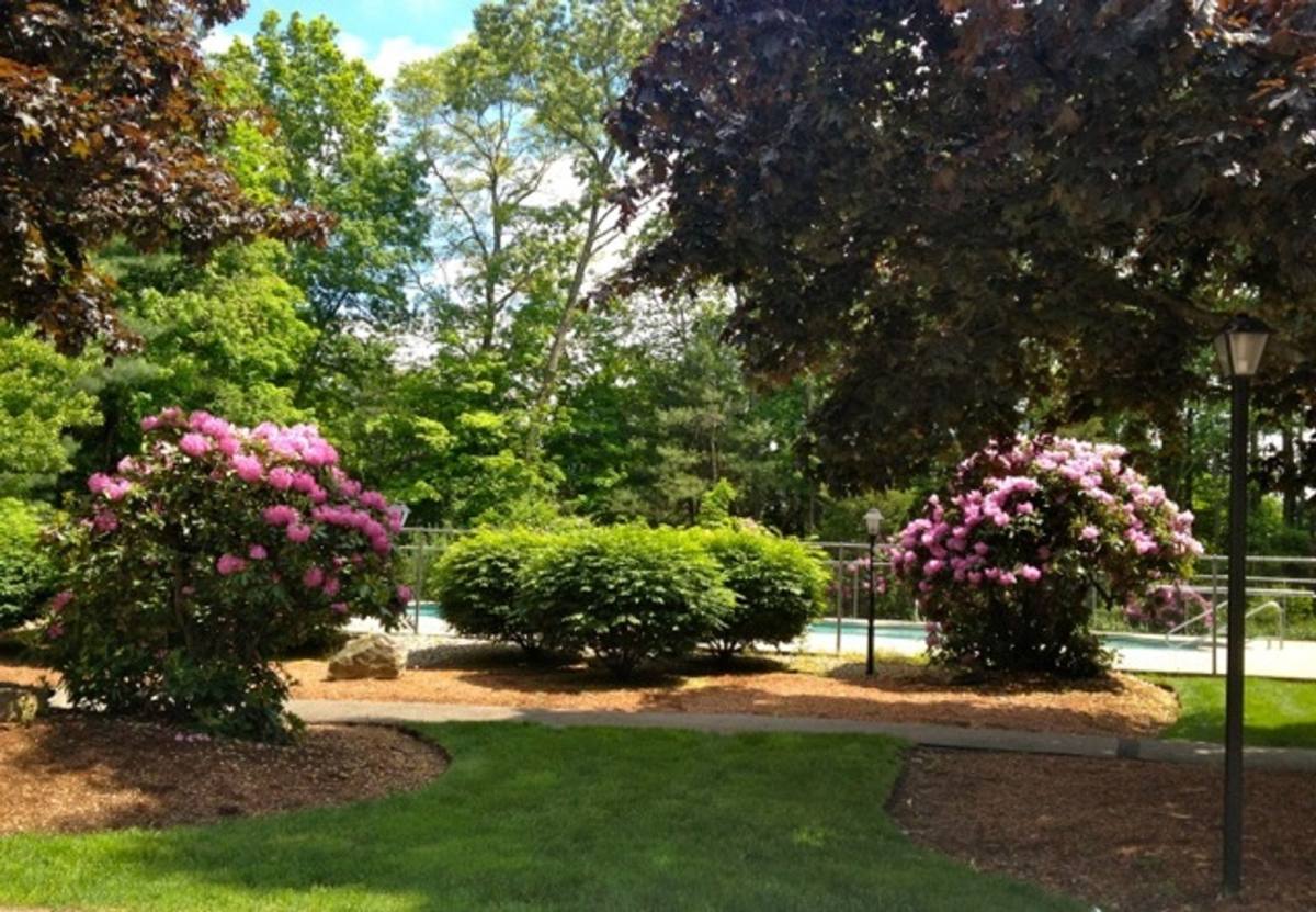 Apartment for rent at 171 Chestnut St, Foxboro, MA 02035