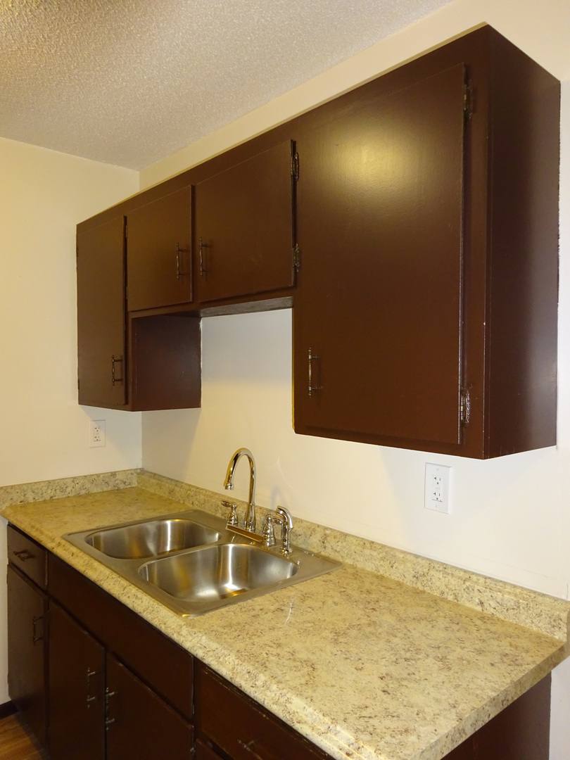 Apartment for rent at 629 E 15th St, Minneapolis, MN 55404