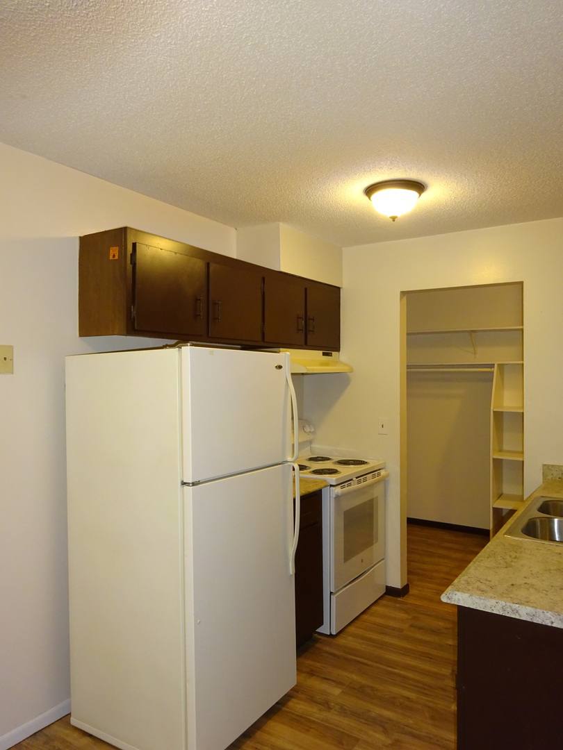 Apartment for rent at 629 E 15th St, Minneapolis, MN 55404
