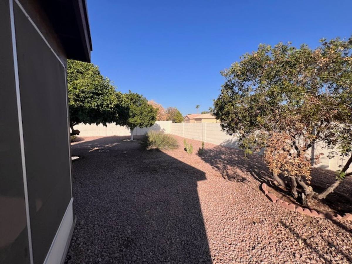 House for rent at 25246 S Glenburn Dr, Chandler, AZ 85248