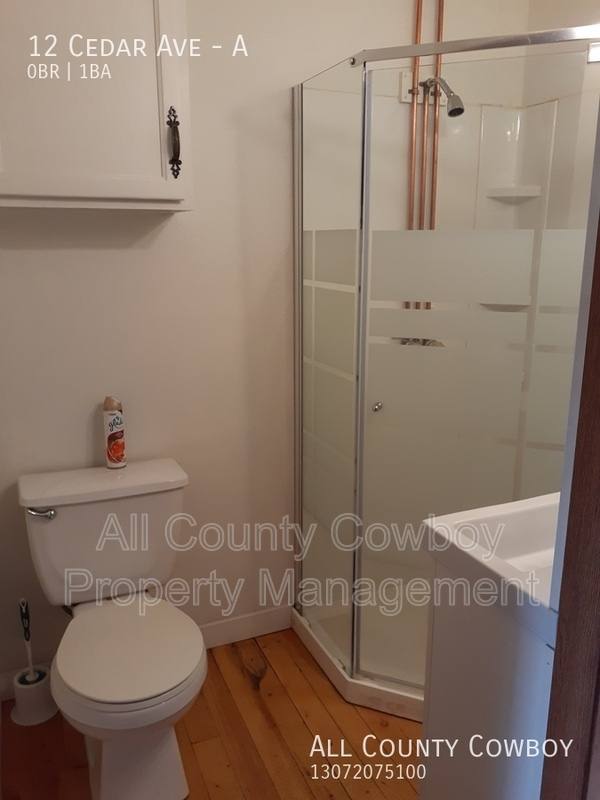 Apartment for rent at 12 A Cedar Ave, Centennial, WY 82055
