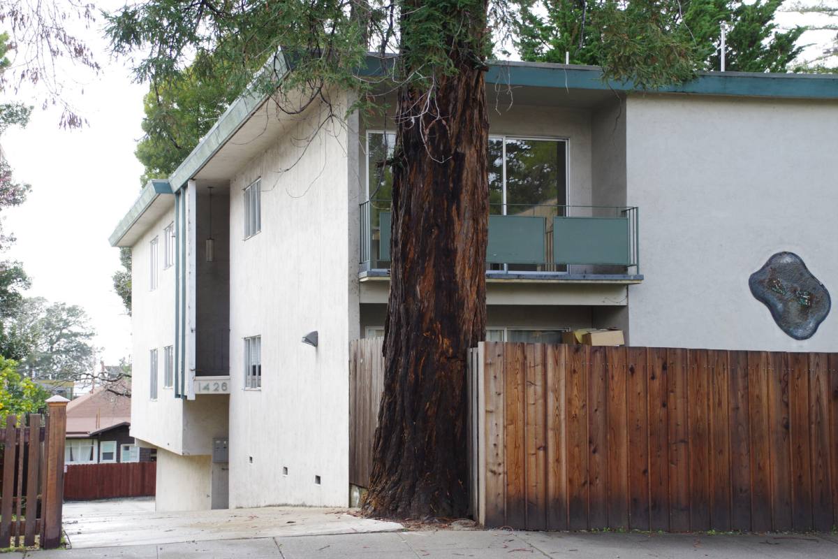 Apartment for rent at 1426 Martin Luther King Jr Way, Berkeley, CA 94709