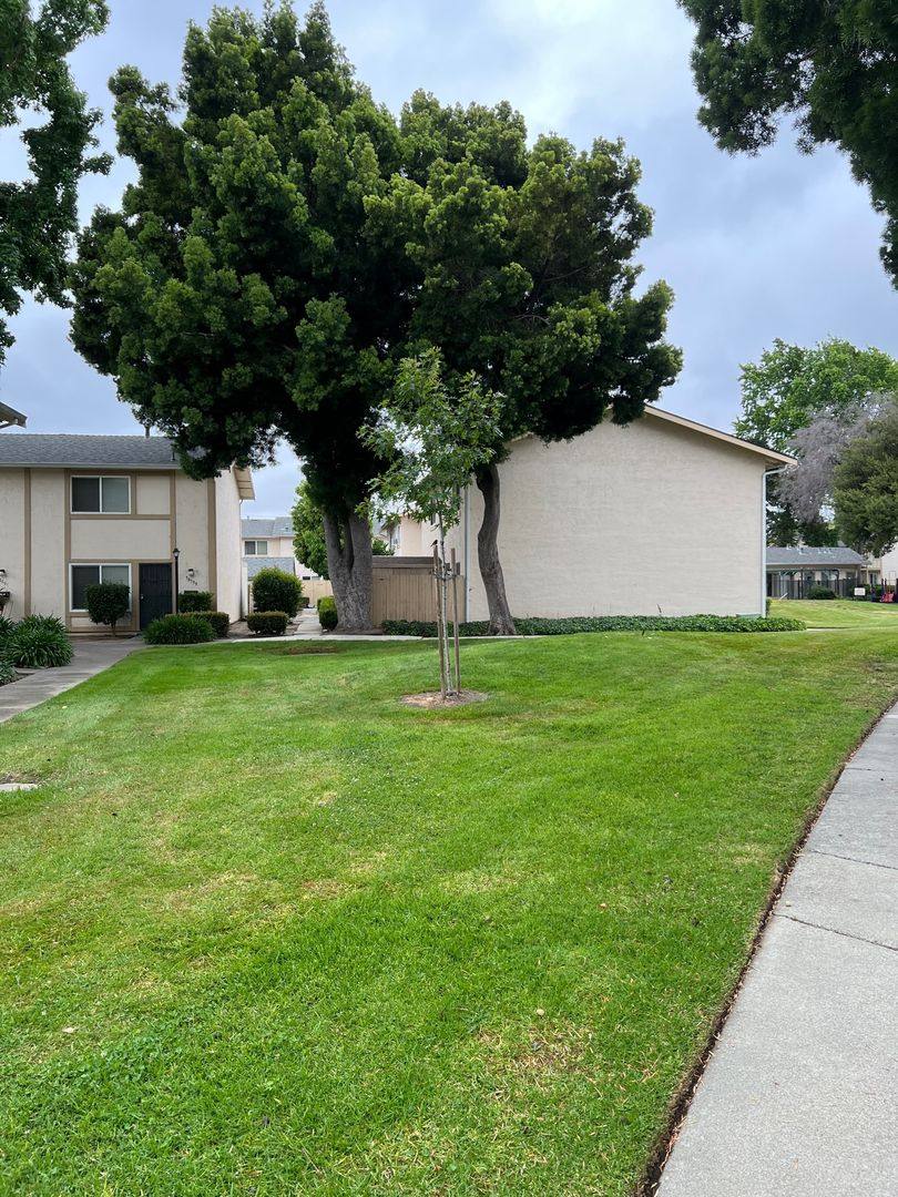 House for rent at 38593 Royal Ann Common, Fremont, CA 94536