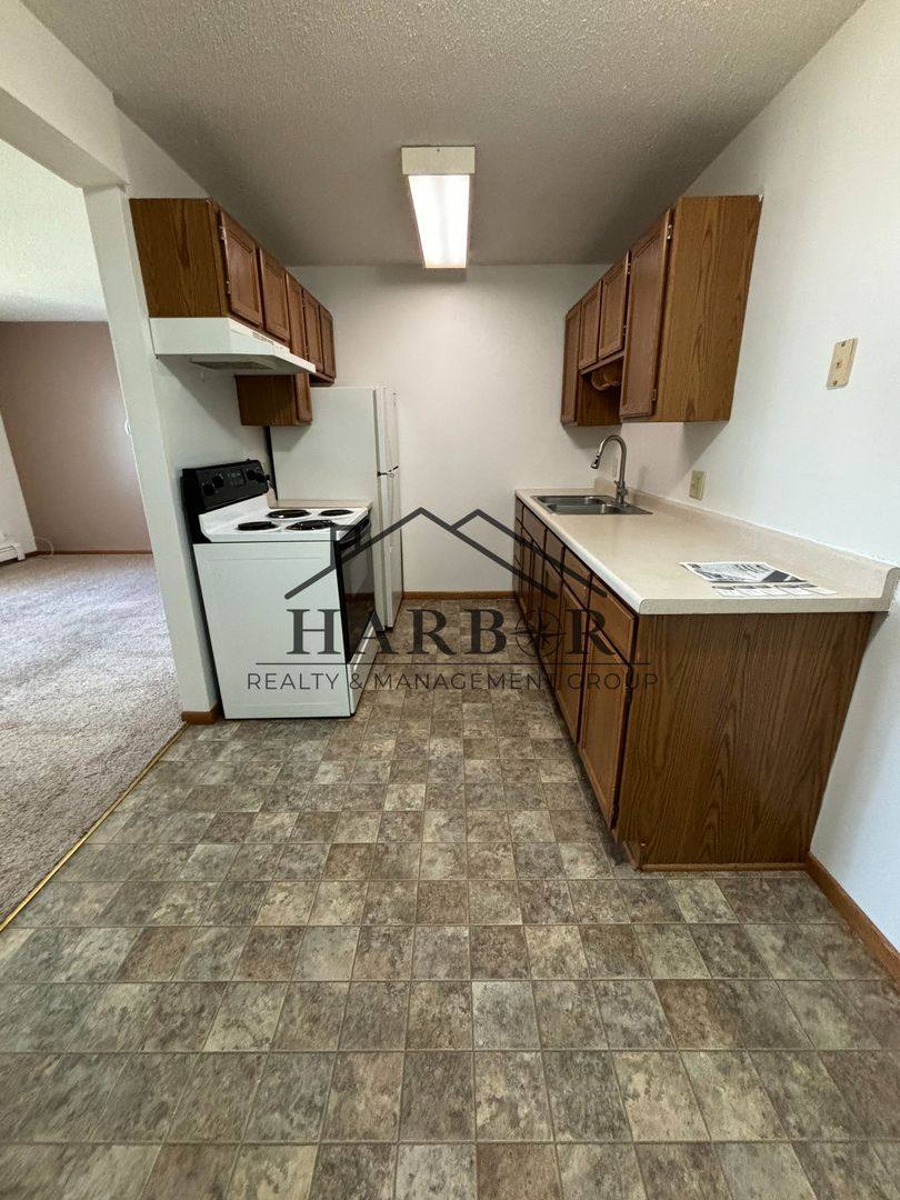 Apartment for rent at 115 1st Ave NE #303, Hayfield, MN 55940