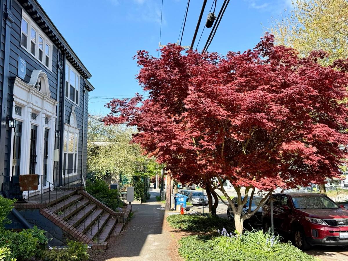 Apartment for rent at 1417 NE 55th St, Seattle, WA 98105