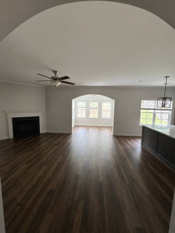 House for rent at 563 Malachite Lane, Chapin, SC 29036
