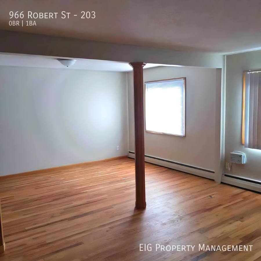 Condo for rent at 966 Robert St #203, Saint Paul, MN 55118