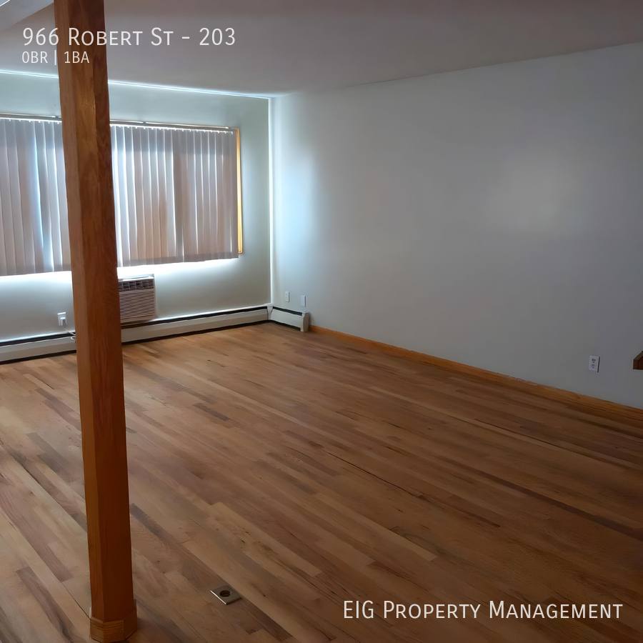 Condo for rent at 966 Robert St #203, Saint Paul, MN 55118
