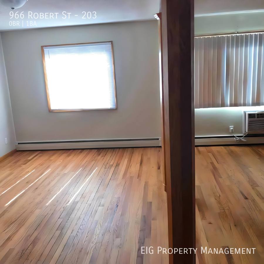 Condo for rent at 966 Robert St #203, Saint Paul, MN 55118