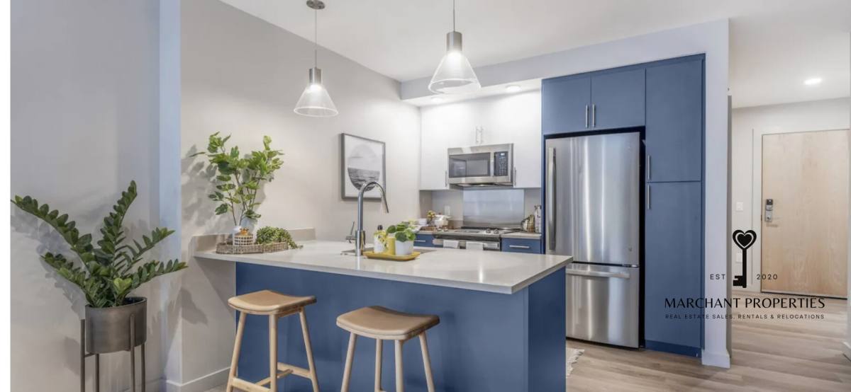 Apartment for rent at 1550 Soldiers Field Rd #219, Brighton, MA 02135