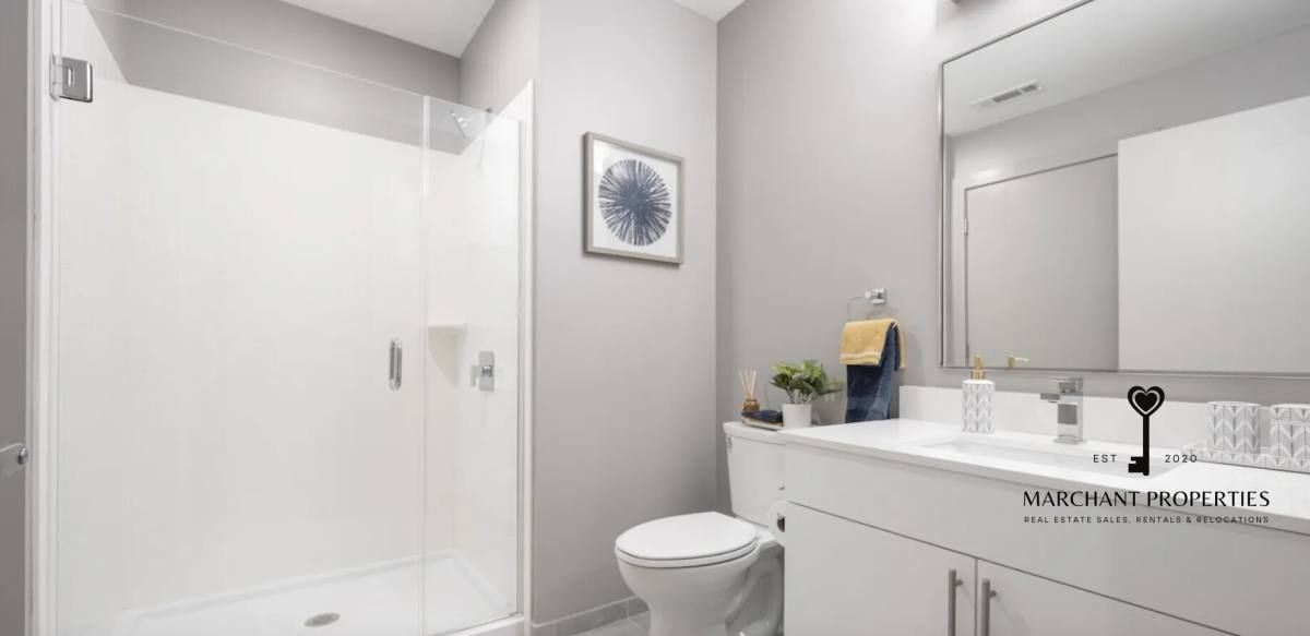 Apartment for rent at 1550 Soldiers Field Rd #219, Brighton, MA 02135