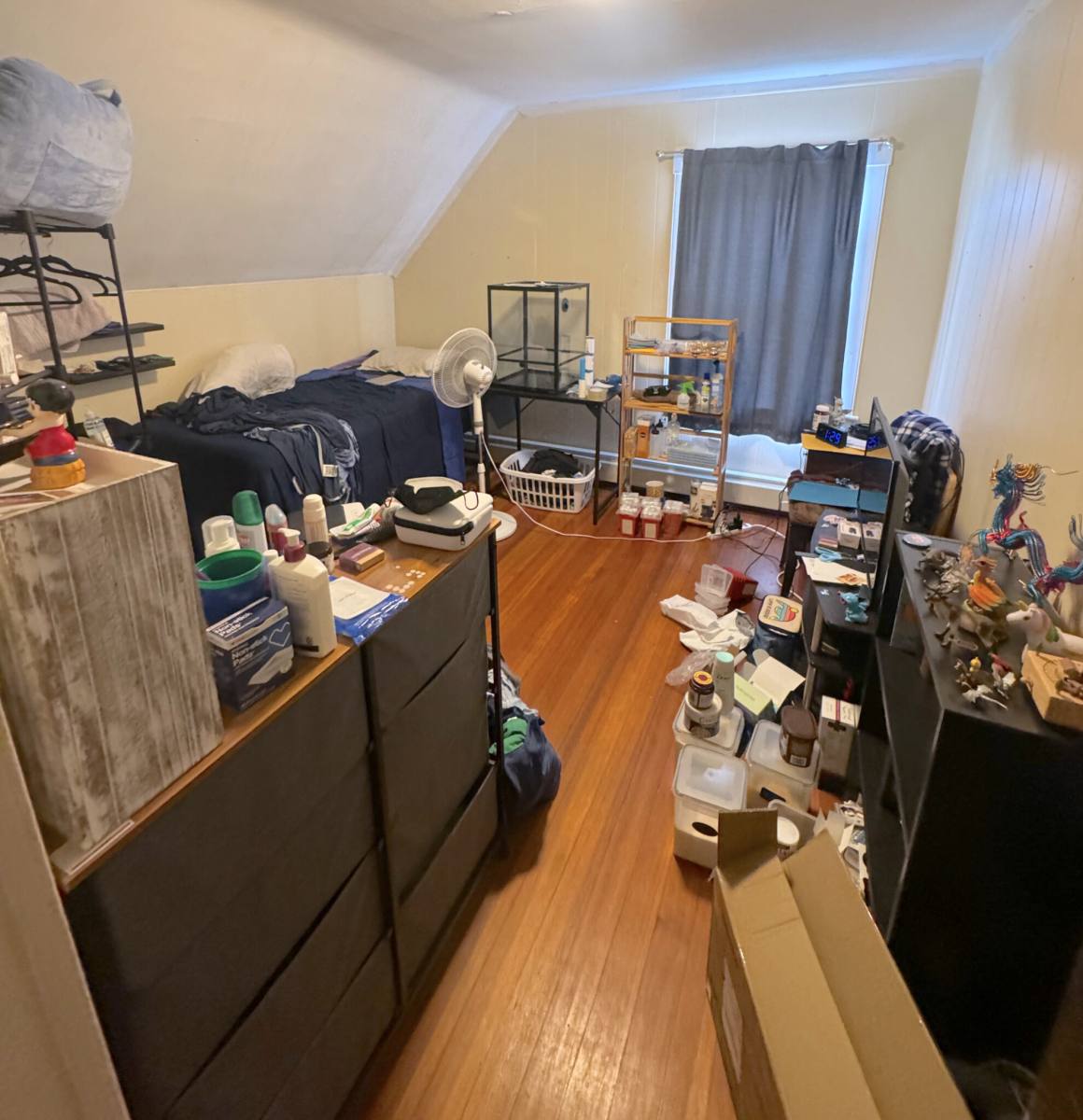 Apartment for rent at 71 Aldie St #3, Allston, MA 02134