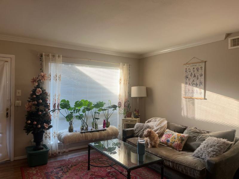 Apartment for rent at 1414 Castle Court, Houston, TX 77006