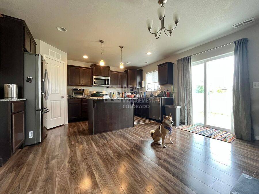 House for rent at 7678 Benecia Dr, Fountain, CO 80817