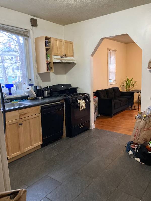 Apartment for rent at 55 Hillside St #1, Roxbury Crossing, MA 02120