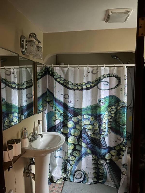 Apartment for rent at 12631 34th Ave S #B, Seattle, WA 98168