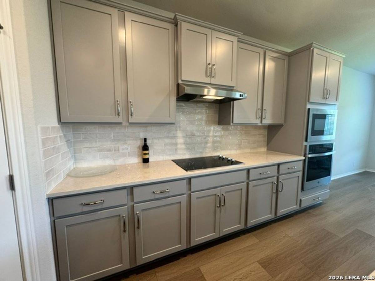 House for rent at 14511 Gecko Landing, San Antonio, TX 78253