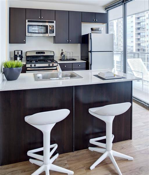Condo for rent at 333 E Wacker, Chicago, IL 60601