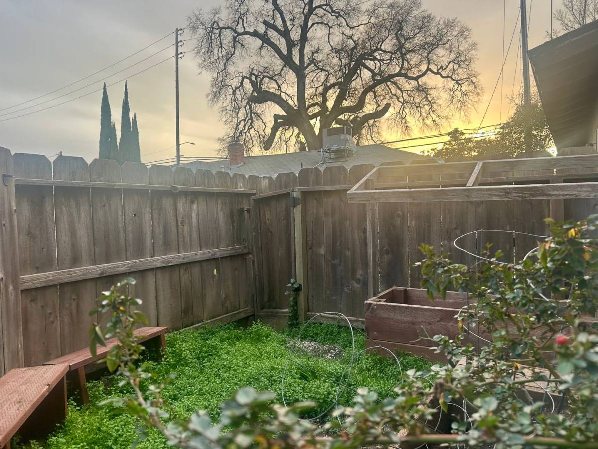Apartment for rent at 953 Lupin Ave, Chico, CA 95973