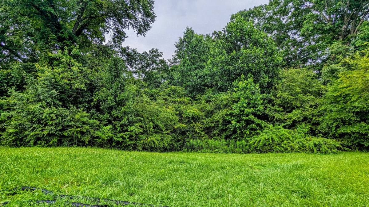 House for rent at 99 Center Grove Dr, Cleveland, GA 30528