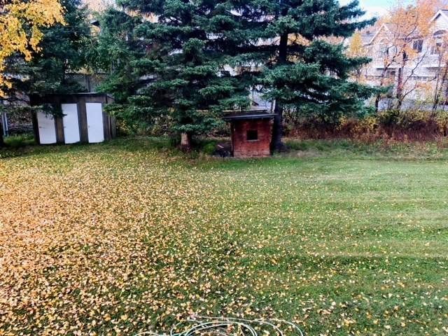 Apartment for rent at 1011 W 76th Ave, Anchorage, AK 99518
