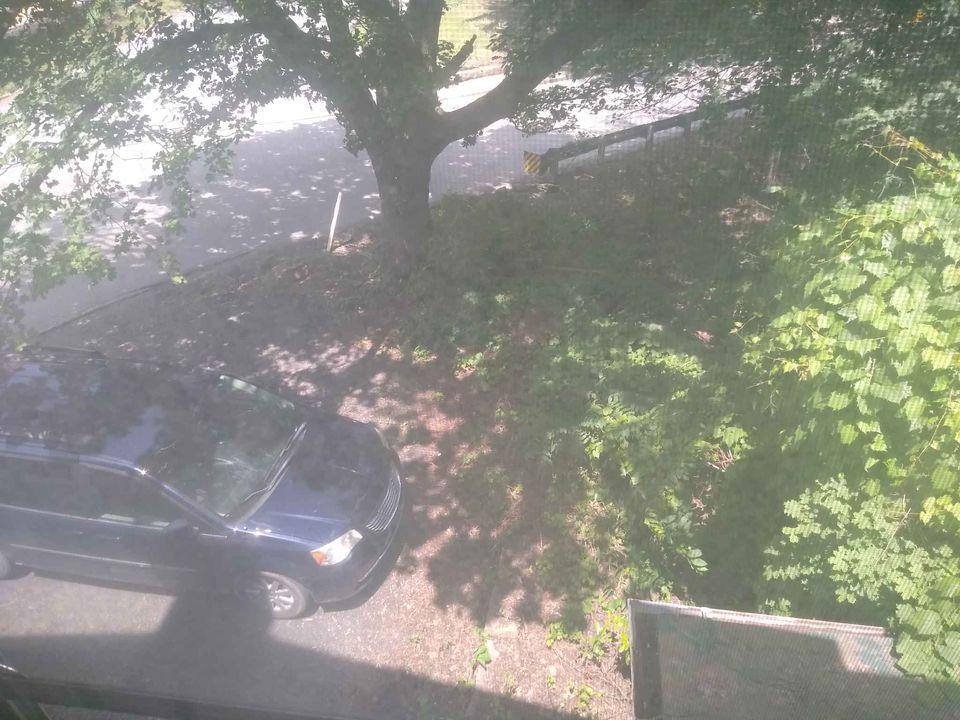 Apartment for rent at 100 Franklin Ave #2, Brookville, PA 15825