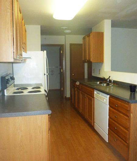 Apartment for rent at 237 Broadway St, River Falls, WI 54022