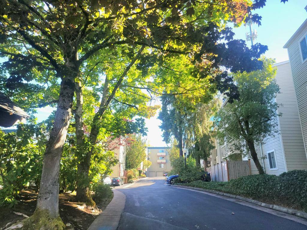 Condo for rent at 18100 15th Ave NE #C-218, Seattle, WA 98155