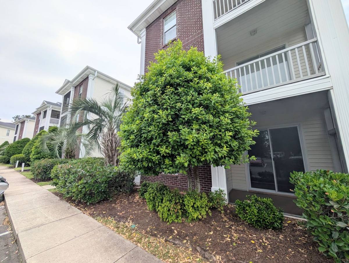 House for rent at 484 River Oaks Dr, Myrtle Beach, SC 29579