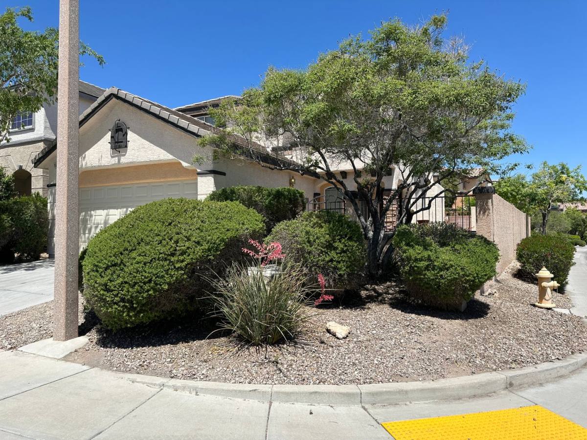 House for rent at 11420 Drappo Ave, Las Vegas, NV 89138