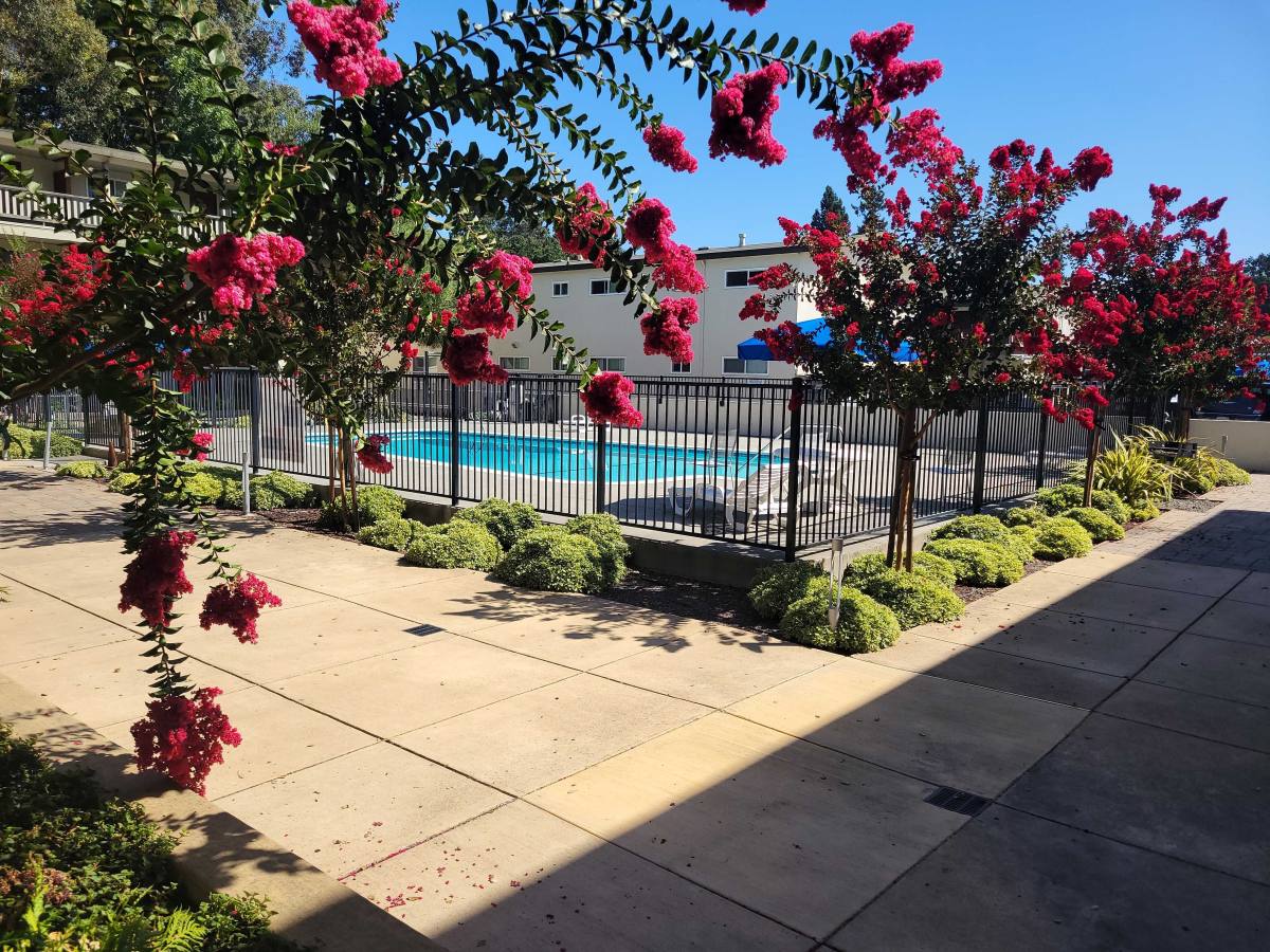 Apartment for rent at 1229 Pacific Ave #27, Santa Rosa, CA 95404
