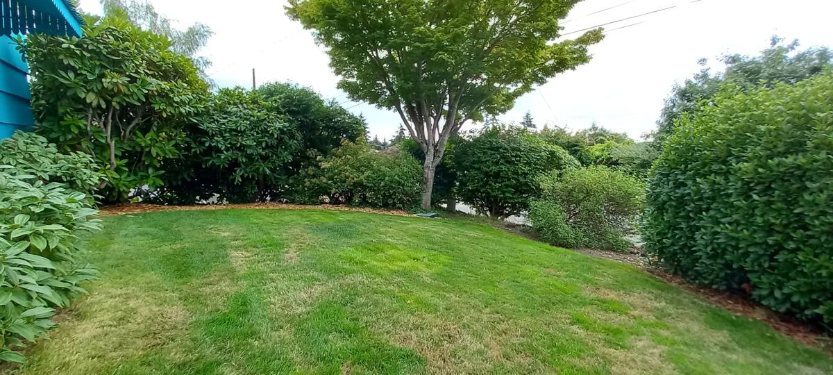 House for rent at 11532 4th Ave NW, Seattle, WA 98177