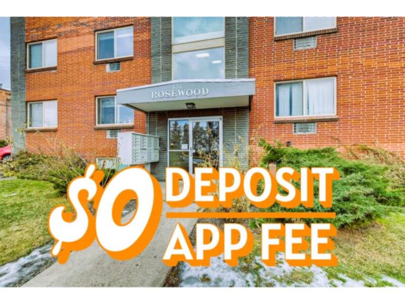 Apartment for rent at 338 W Powers Ave #204, Littleton, CO 80120