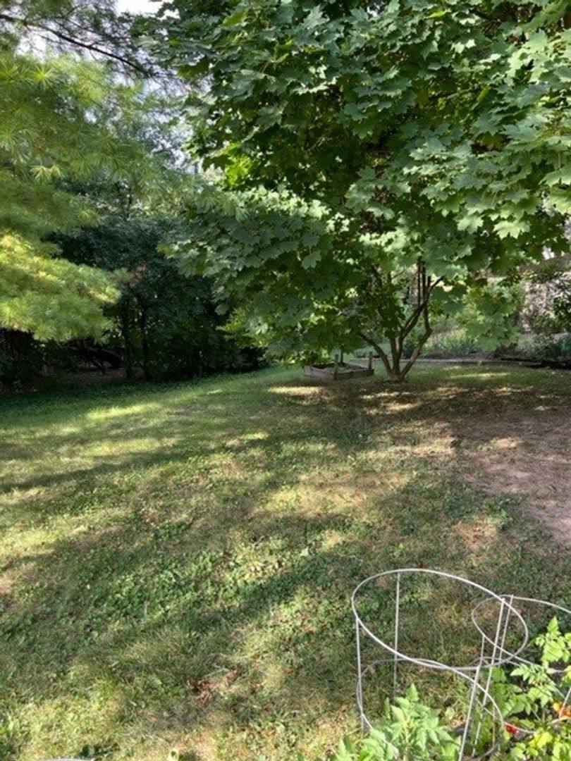 House for rent at 2133 Fair St, Ann Arbor, MI 48103