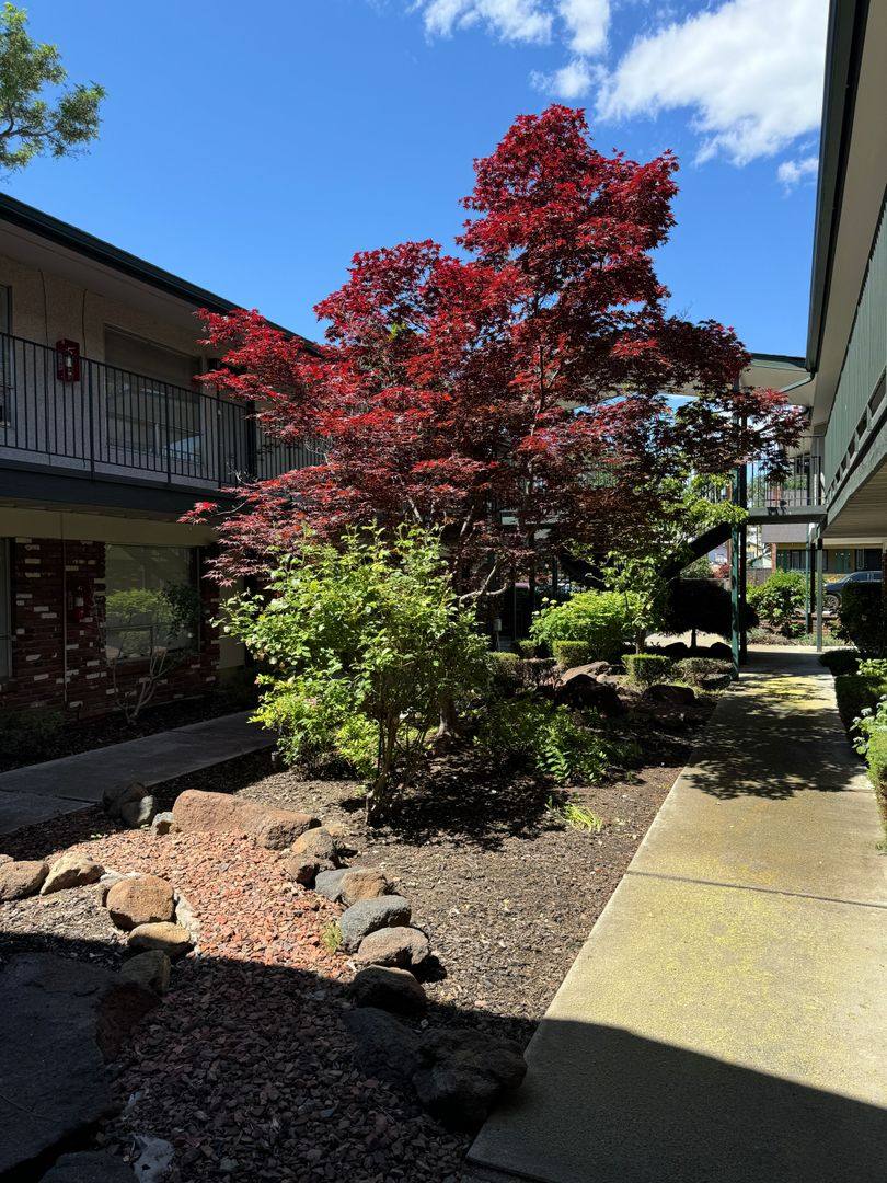 Apartment for rent at 11 Hall Ave, Yakima, WA 98902