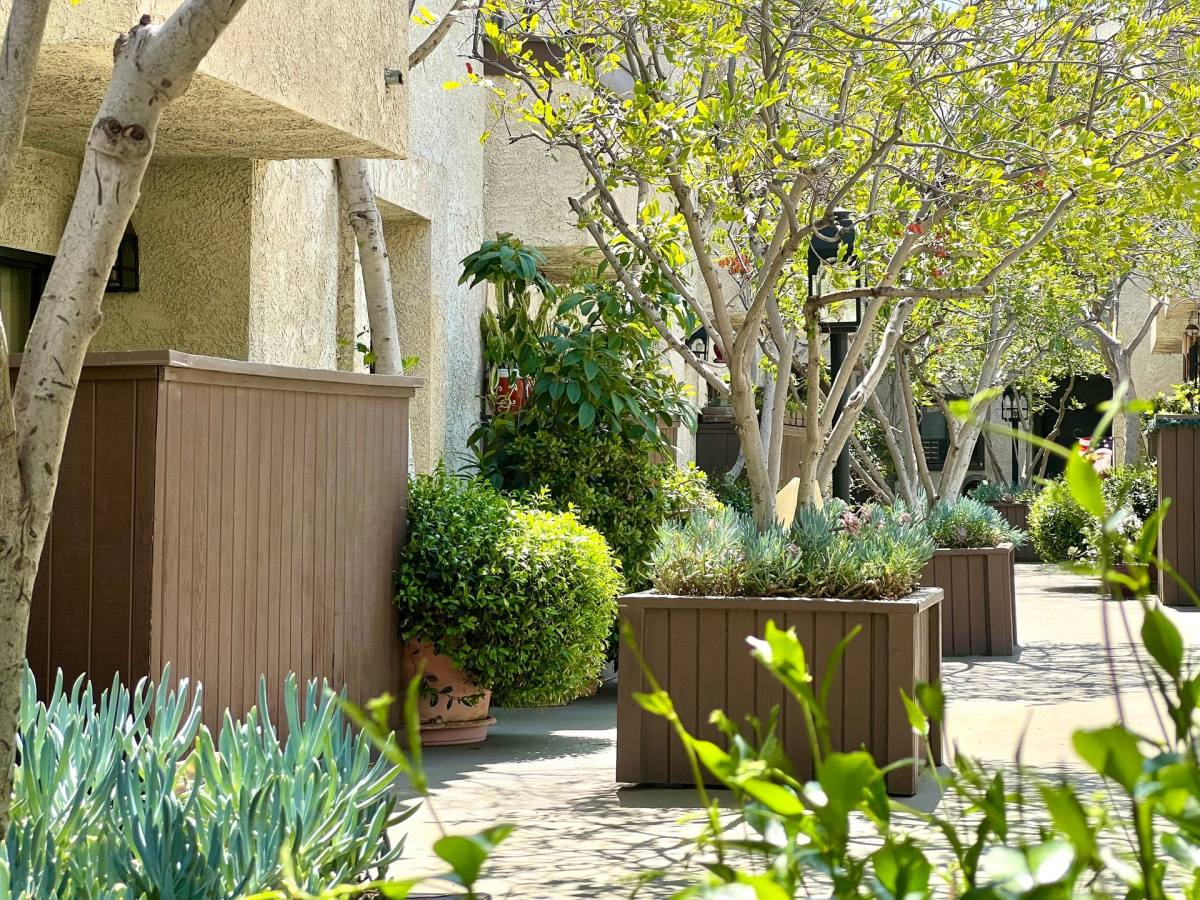Apartment for rent at 14424 Magnolia Blvd, Sherman Oaks, CA 91423