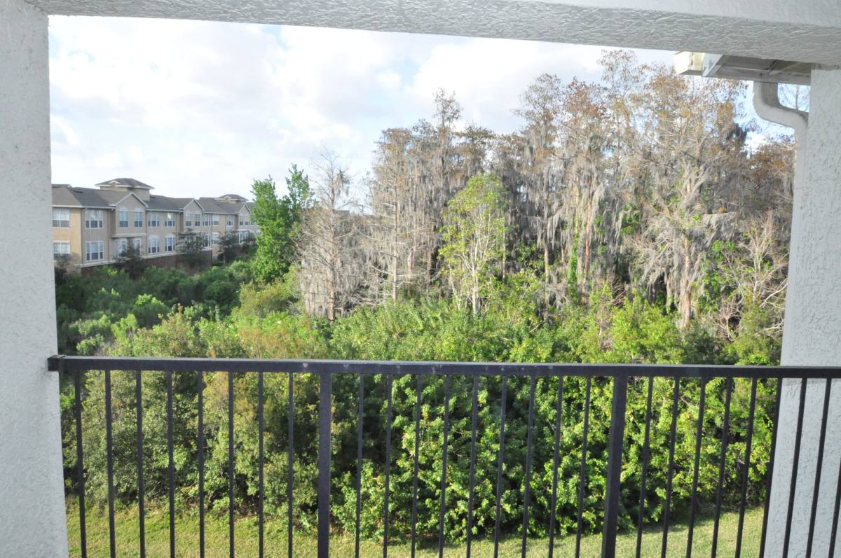 Apartment for rent at 6530 Swissco Dr, Orlando, FL 32822