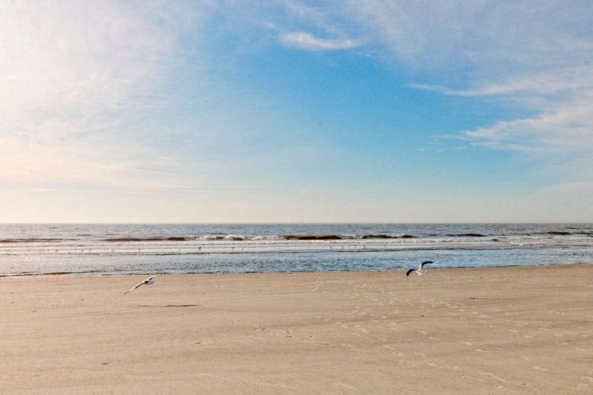 Apartment for rent at 663 William Hilton Parkway #4308, Hilton Head Island, SC 29926
