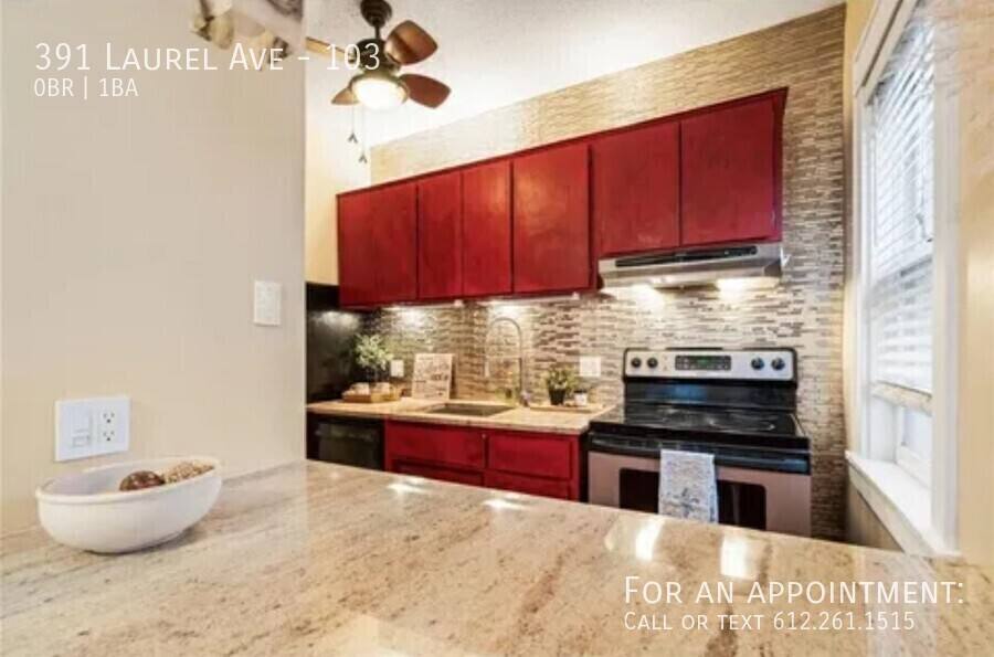 Condo for rent at 391 Laurel Ave #103, Saint Paul, MN 55102