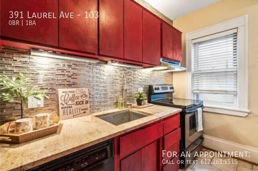 Condo for rent at 391 Laurel Ave #103, Saint Paul, MN 55102