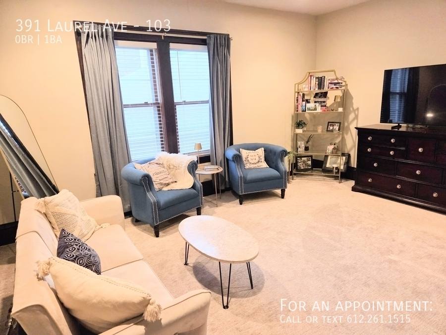 Condo for rent at 391 Laurel Ave #103, Saint Paul, MN 55102