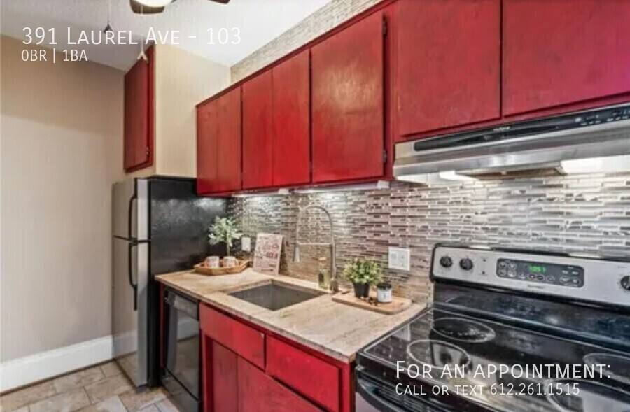 Condo for rent at 391 Laurel Ave #103, Saint Paul, MN 55102