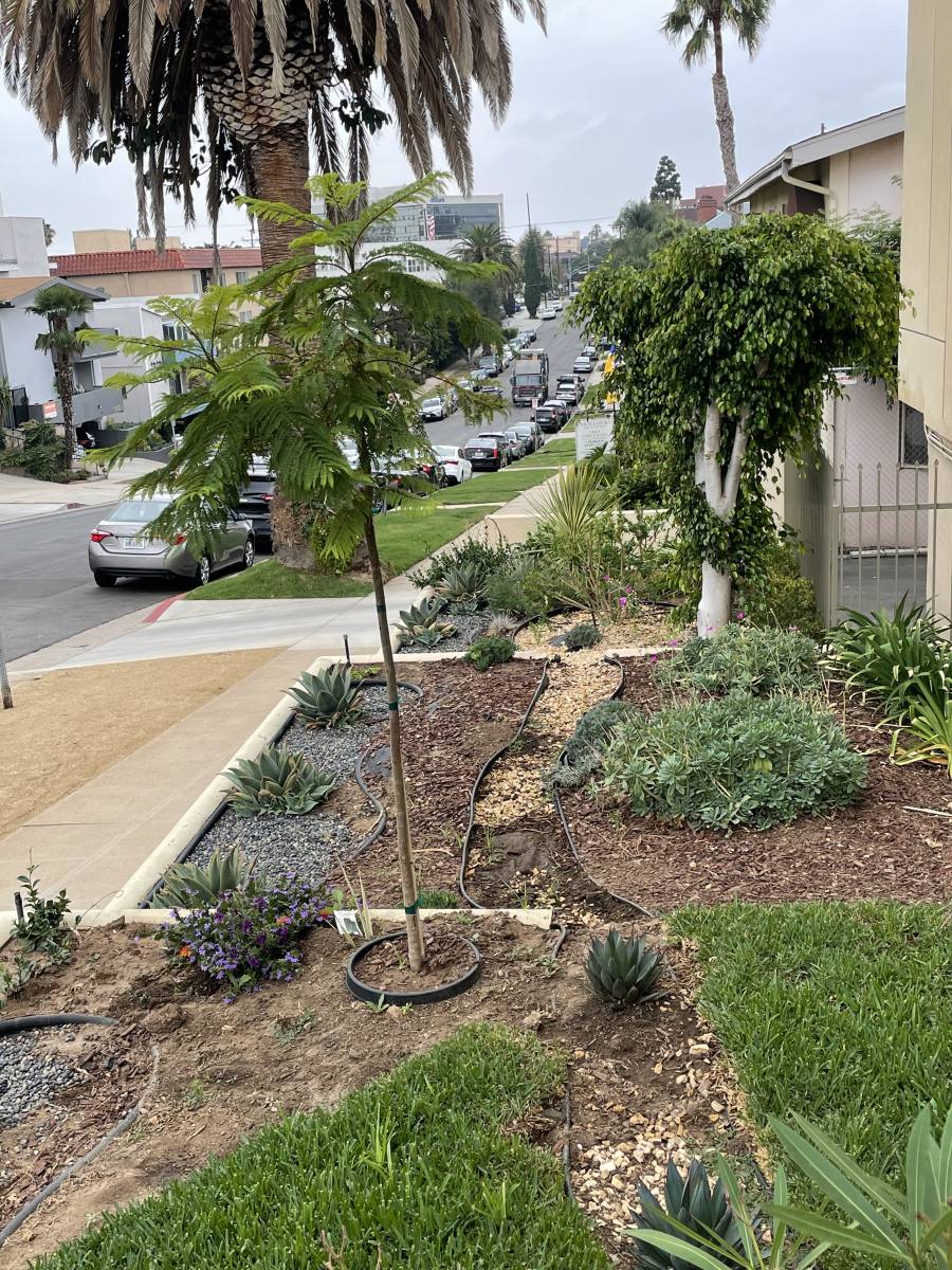 Apartment for rent at 11601 Gorham Ave, Los Angeles, CA 90049